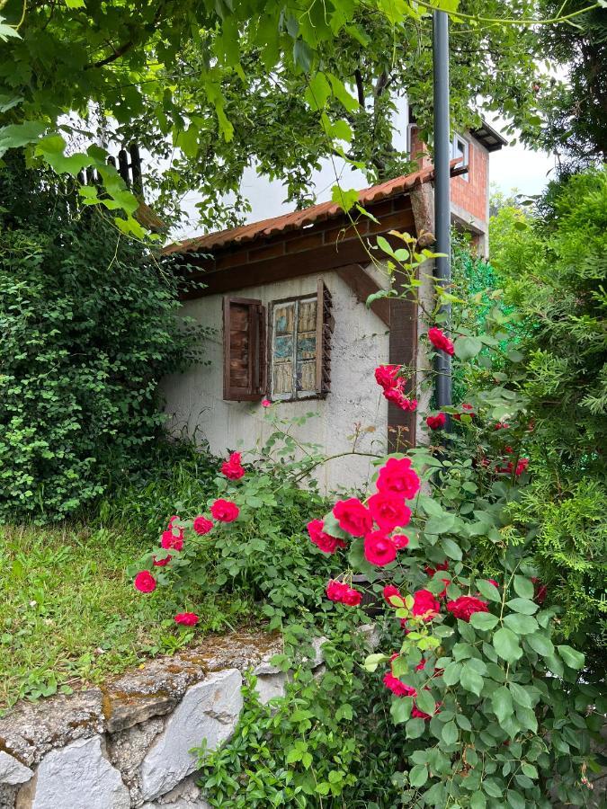 Queen Apartment Visoko Bagian luar foto