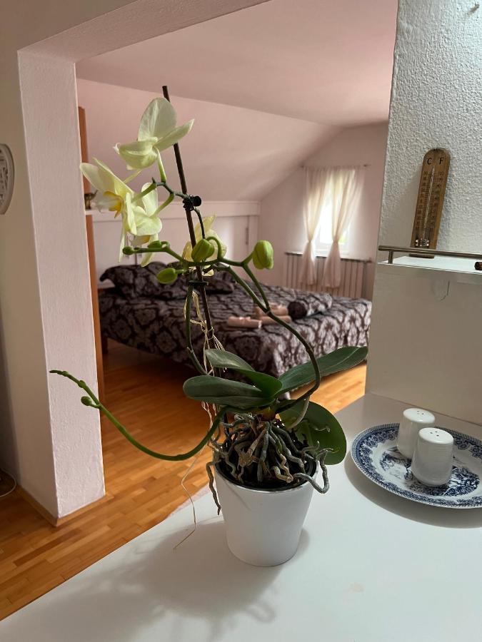 Queen Apartment Visoko Bagian luar foto
